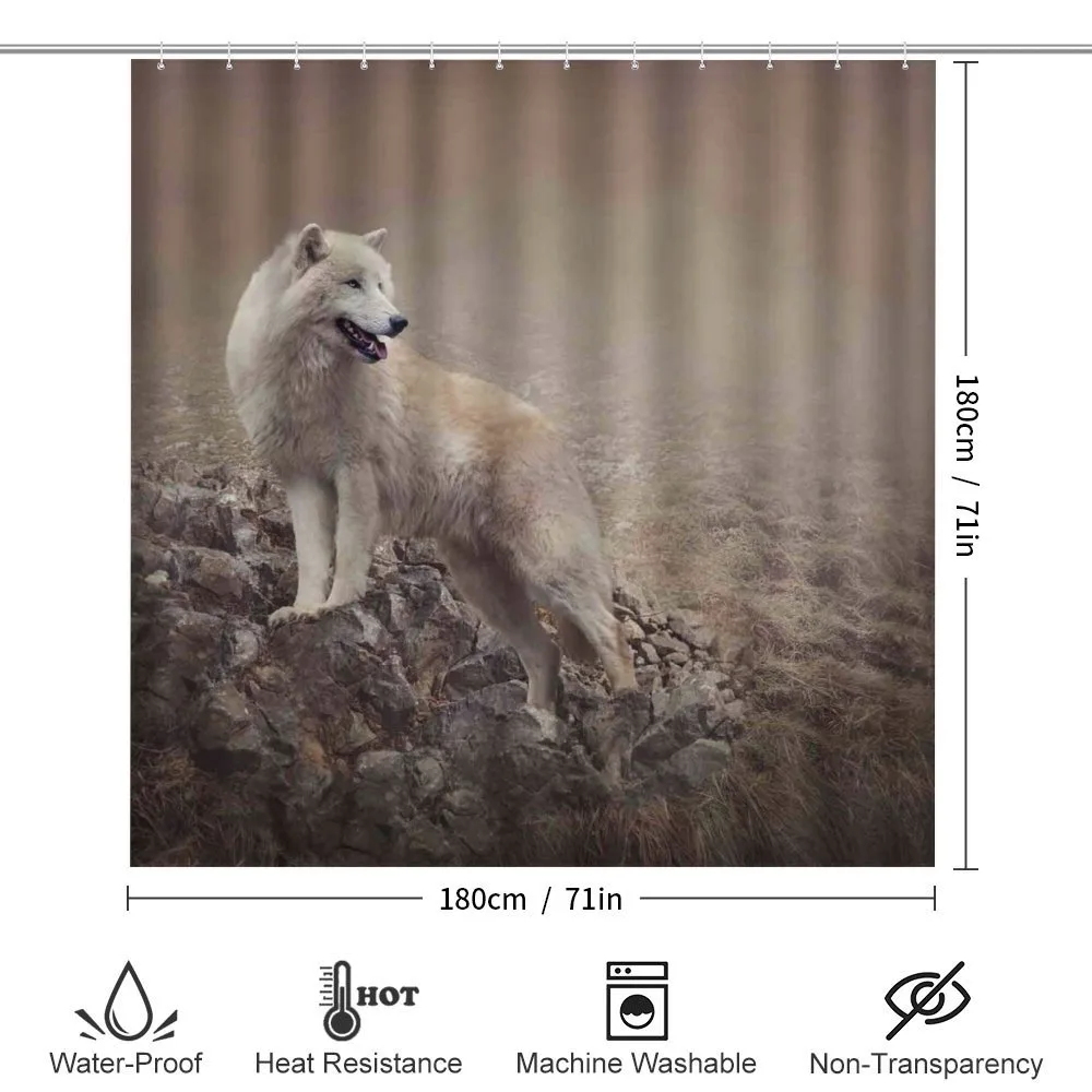 White Wolf on the Rocks — Detail 2