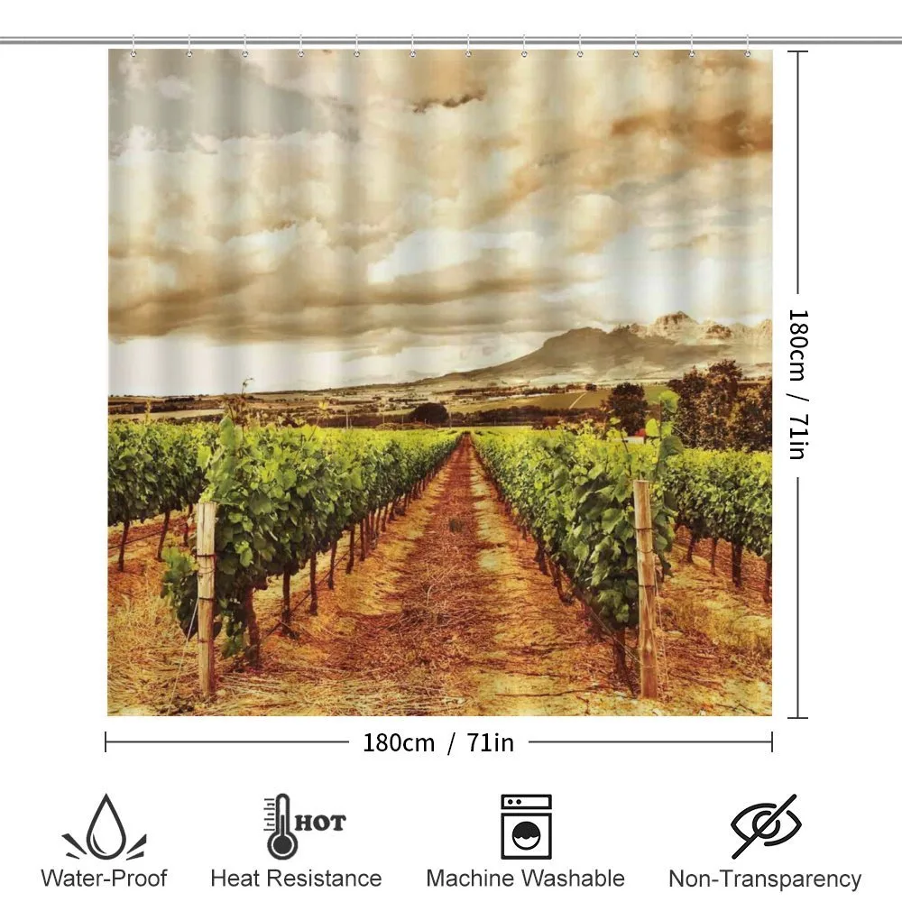 Cloudy Vineyard in Fall — Detail 2