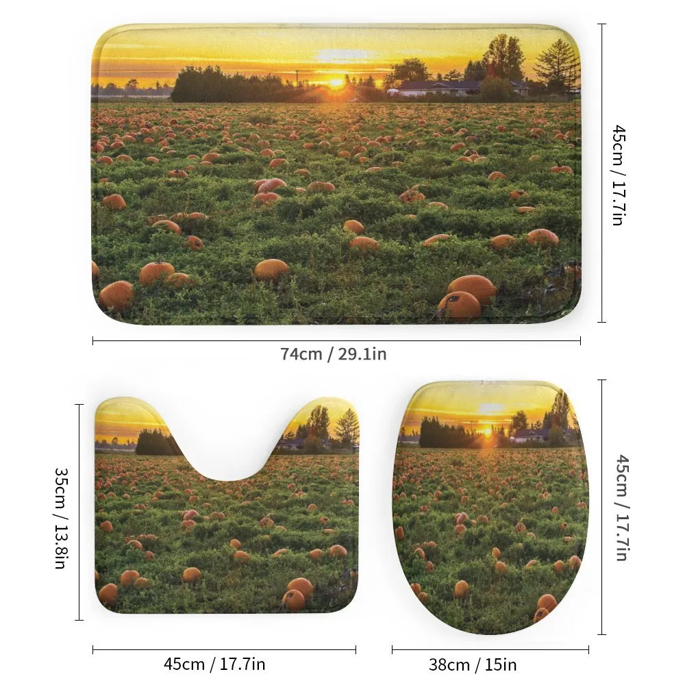 Fall Patch at Sunset — Detail 1