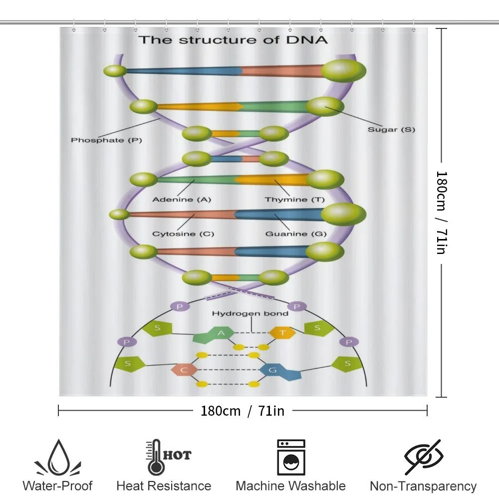Genetic Code Fun — Detail 2