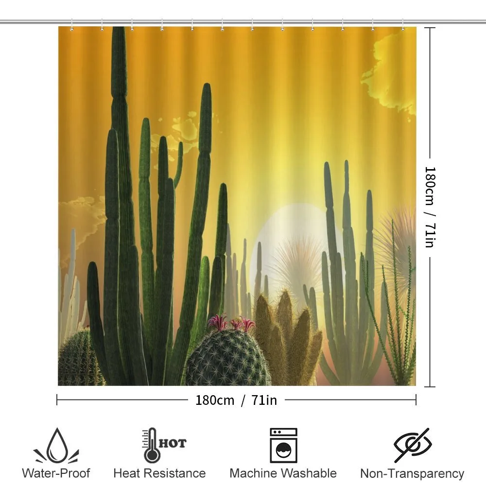 Sunset Desert Ecology — Detail 2
