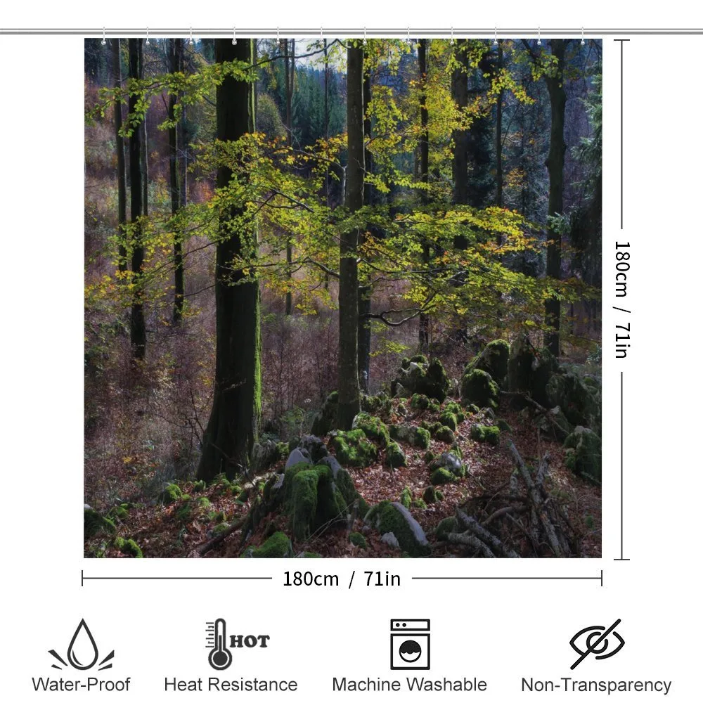 Trees Autumn Wilderness — Detail 2