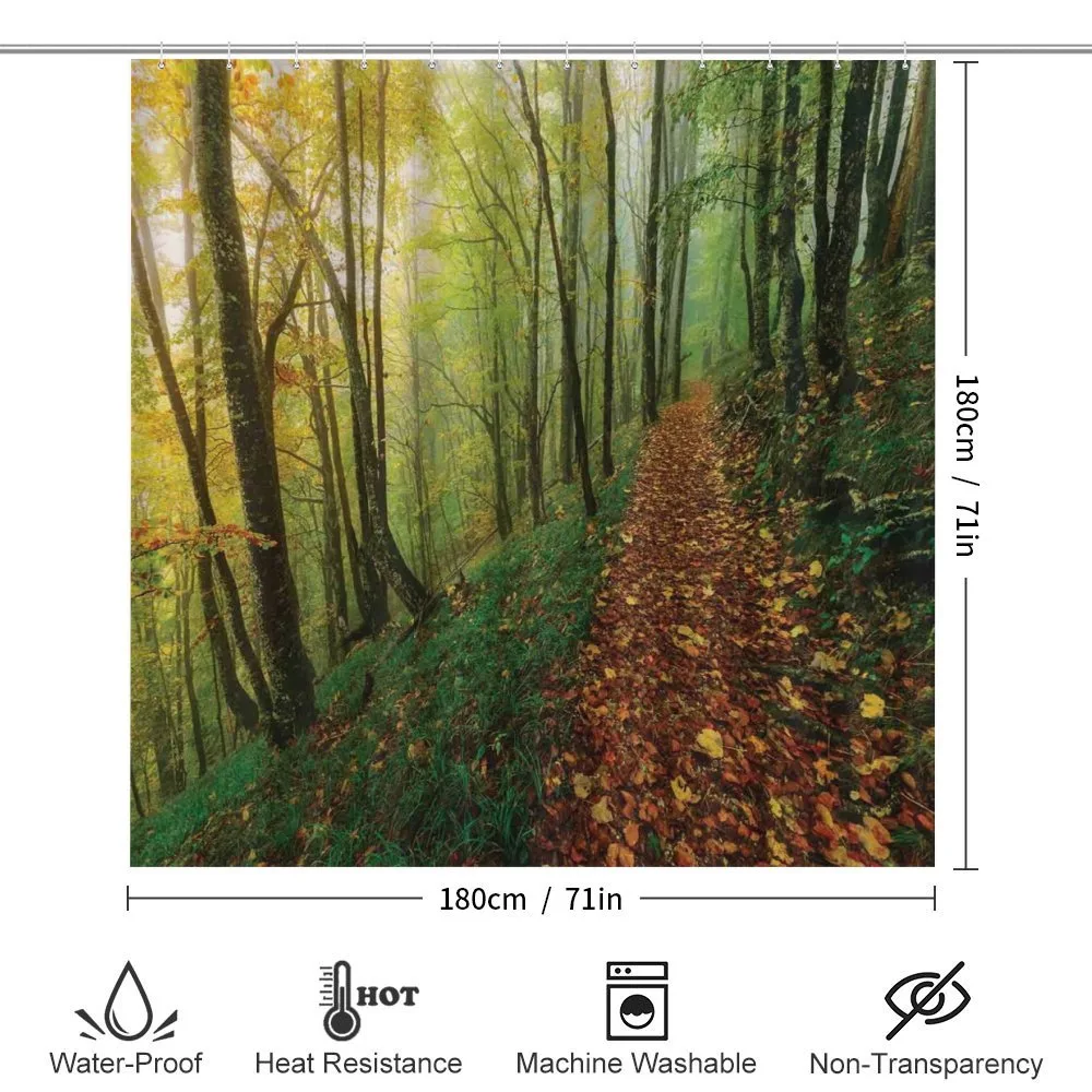Forest Path View — Detail 2