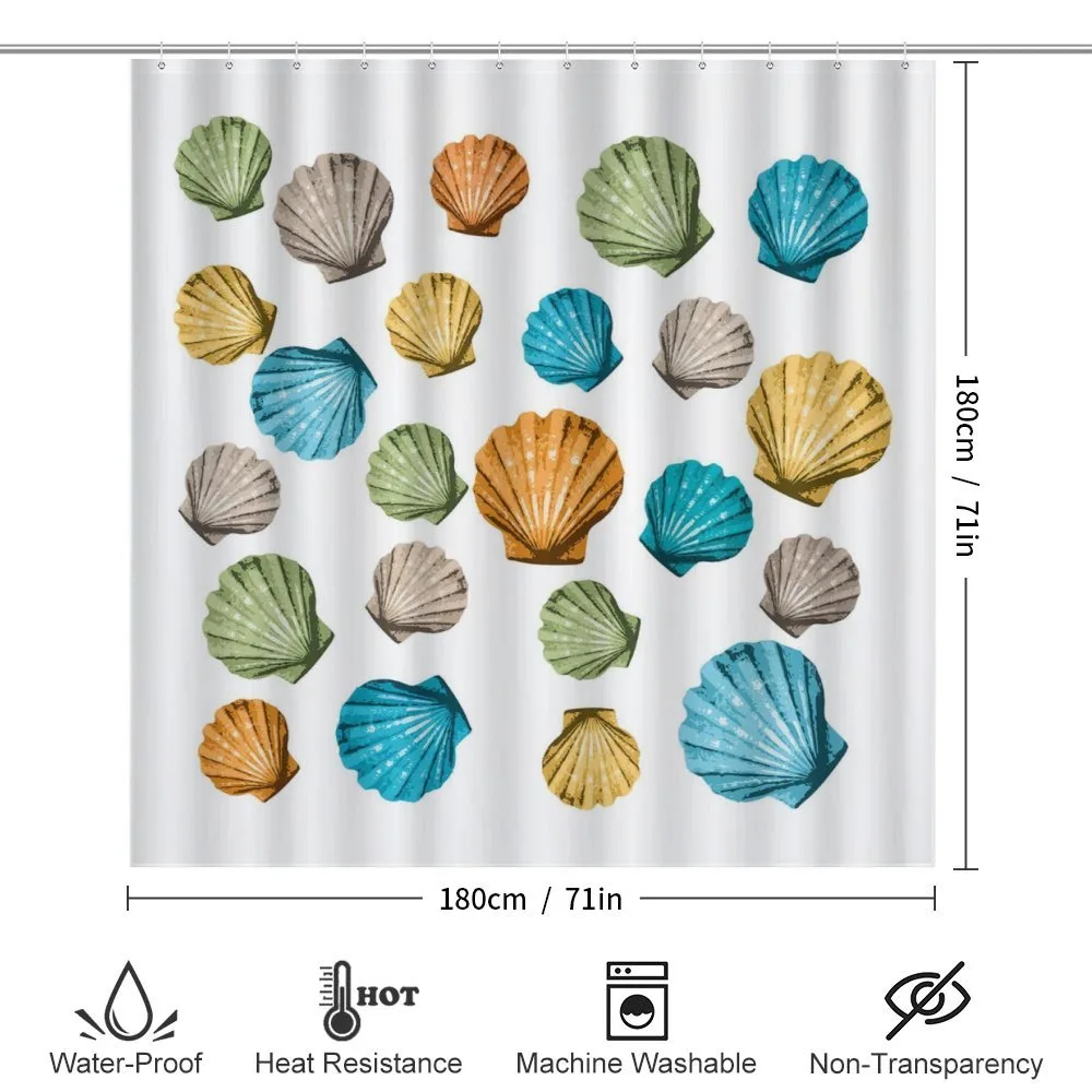 Scallop — Detail 2