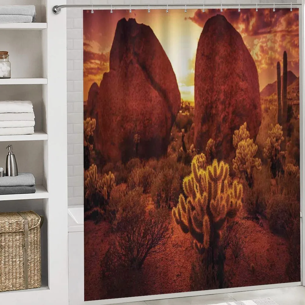 Cactus Rocks Desert Scenery — Detail 4