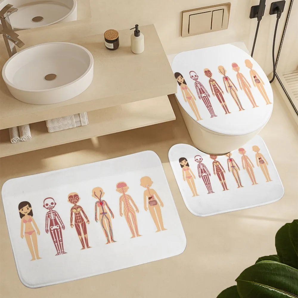 Female Body Anatomy Chart — Detail 5