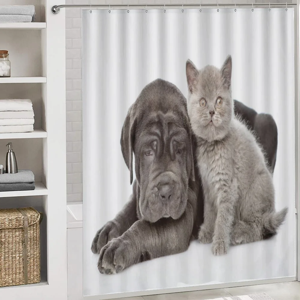 Lazy Neapolitan Mastiff — Detail 4