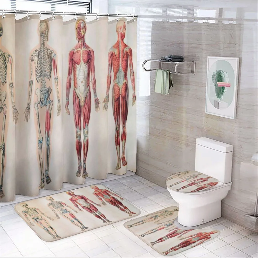Anatomy Human Body — Your design