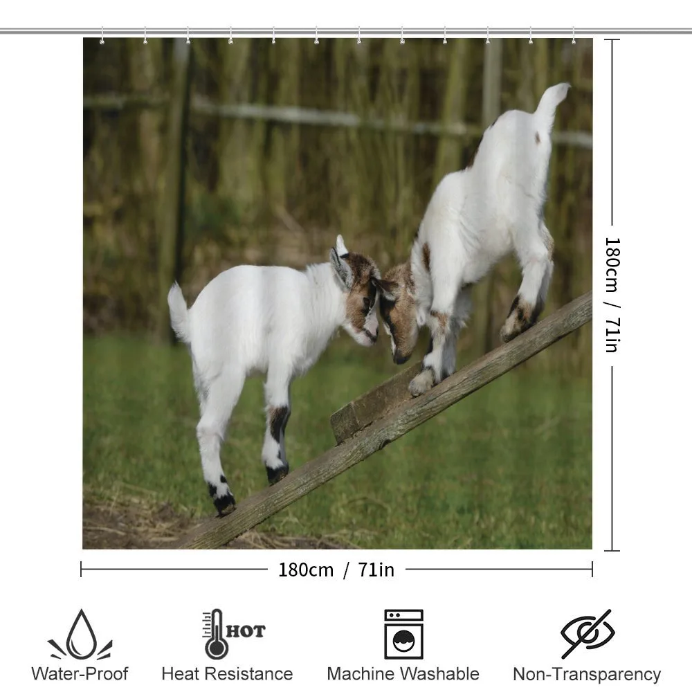 Farm Life with Goats — Detail 2
