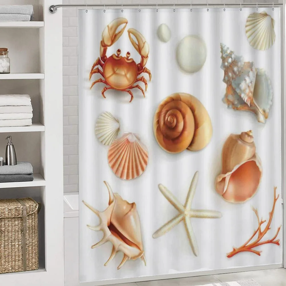 Seashells Marine Aquatic — Detail 4