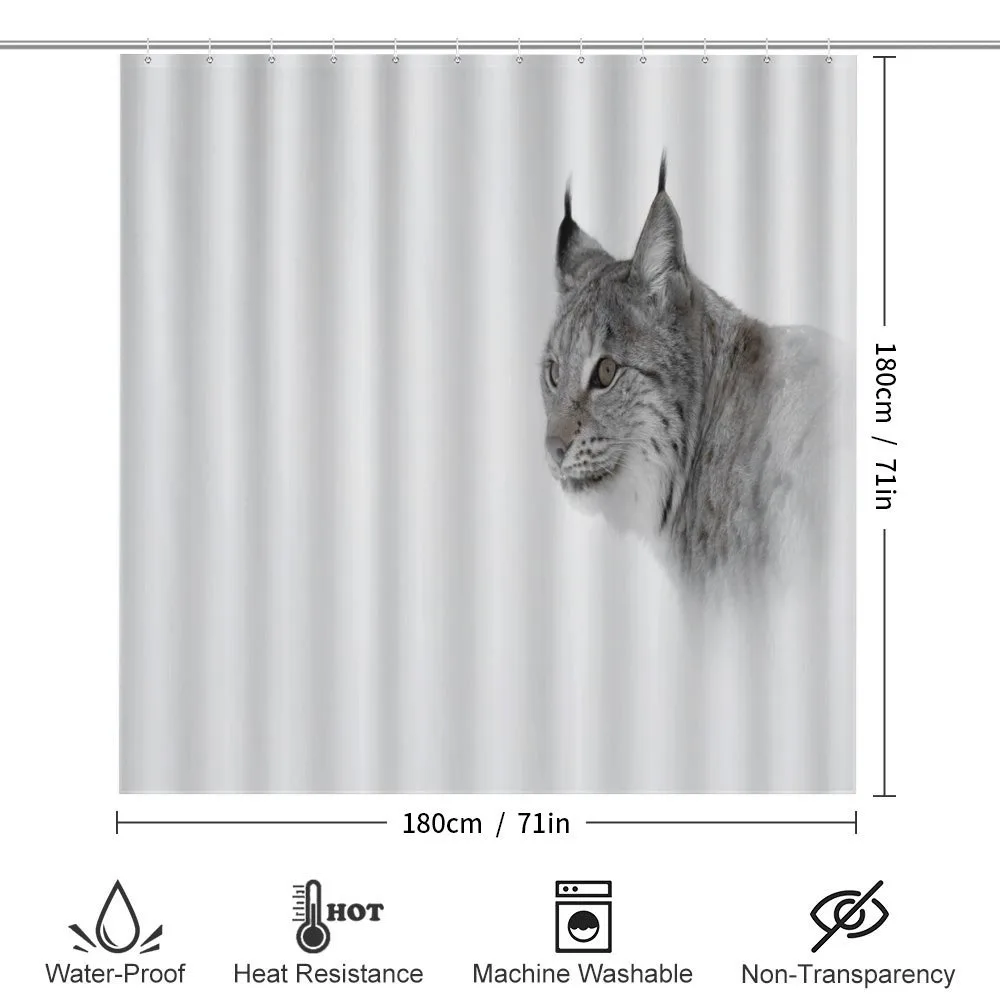 Wild Lynx Norway — Detail 2