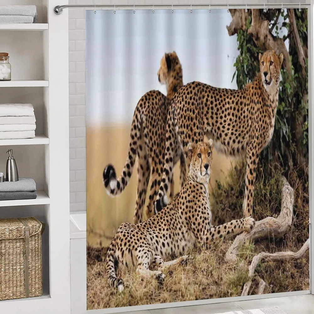 Safari Animal Cheetahs — Detail 4