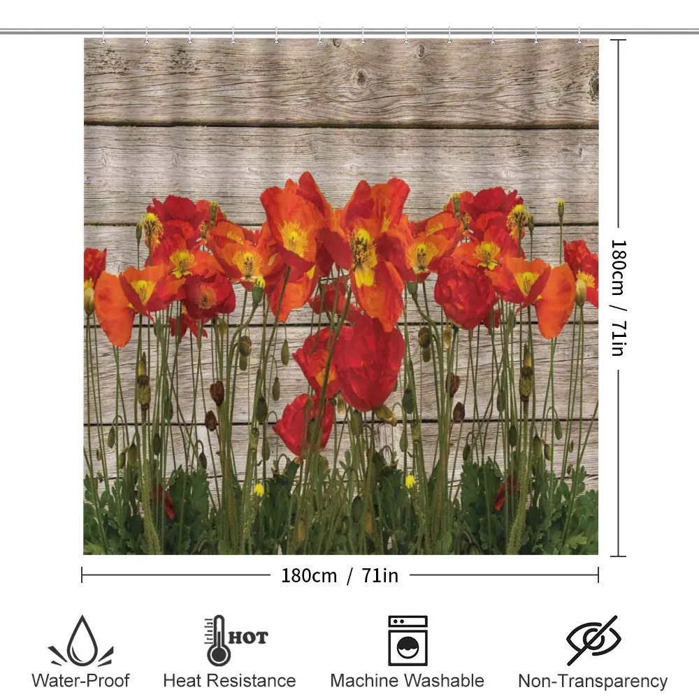 Blooming Poppy Flowers — Detail 2