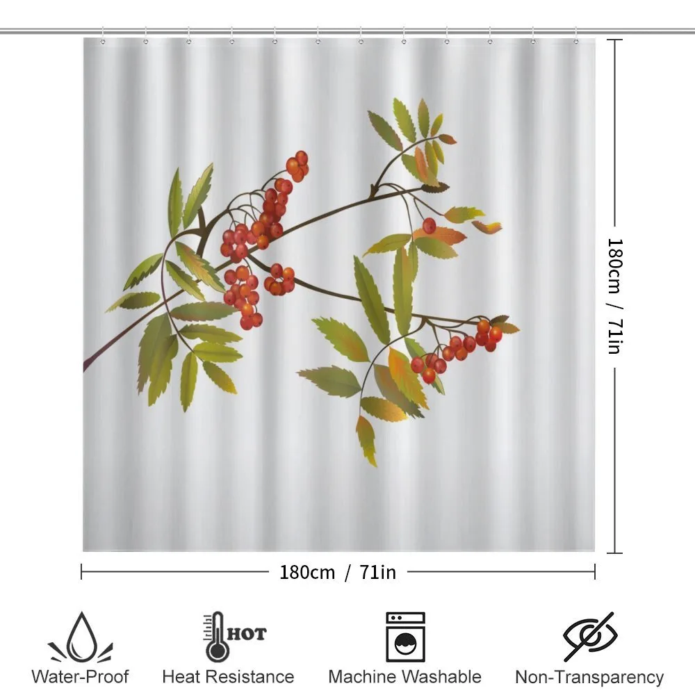 Fresh Organic Ashberry — Detail 2