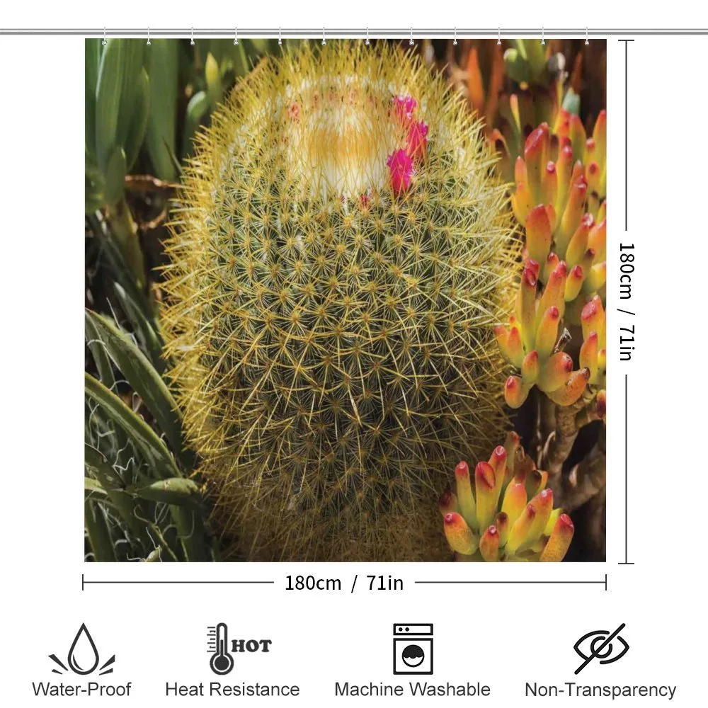 Cactus Plant with Spikes — Detail 2