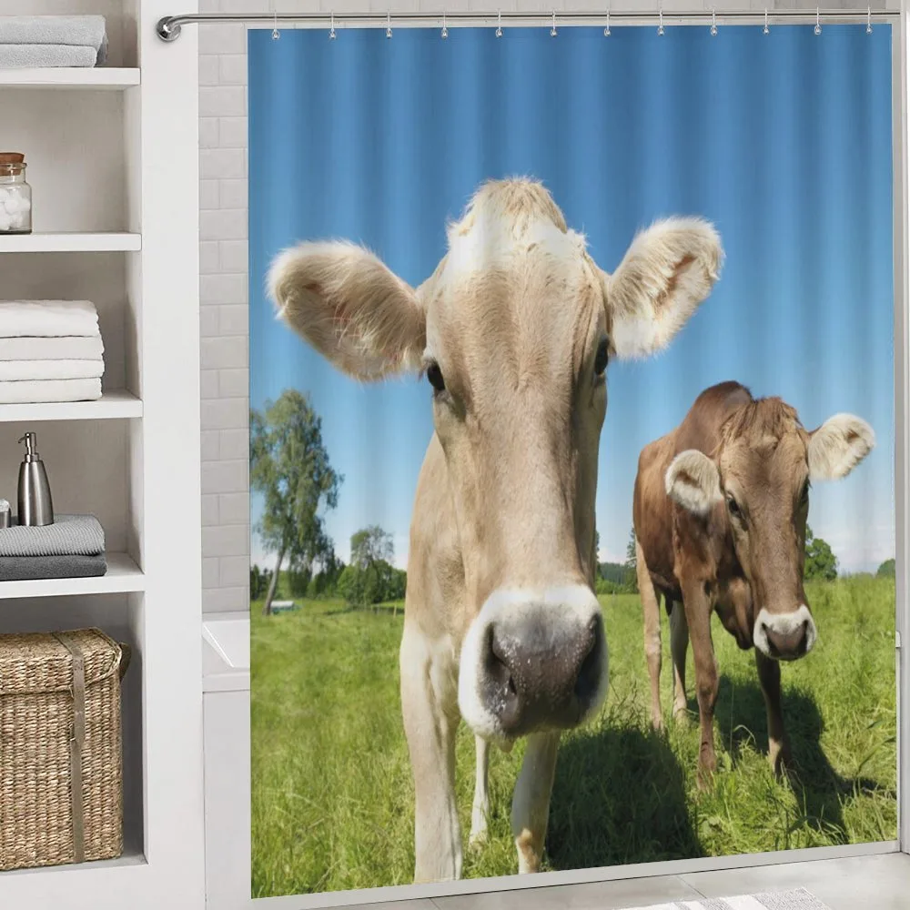 Close up Cows — Detail 4