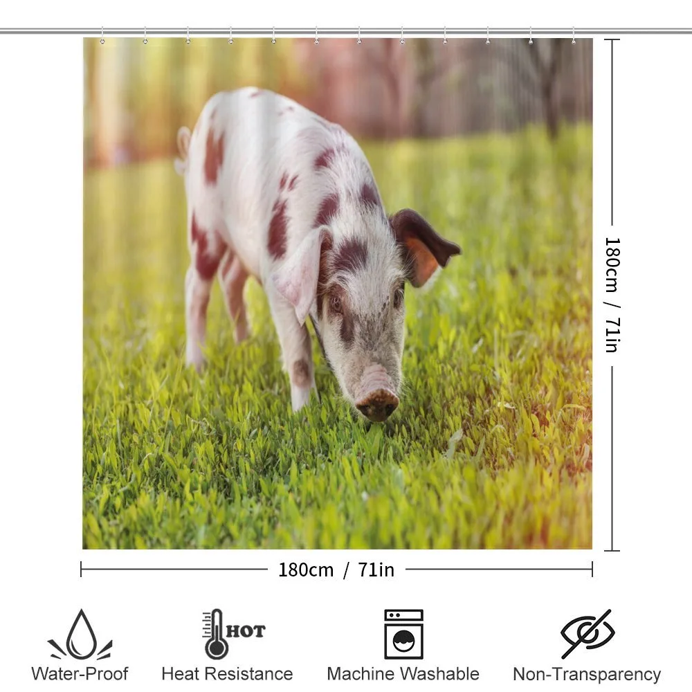 Baby Pig with Spots — Detail 2