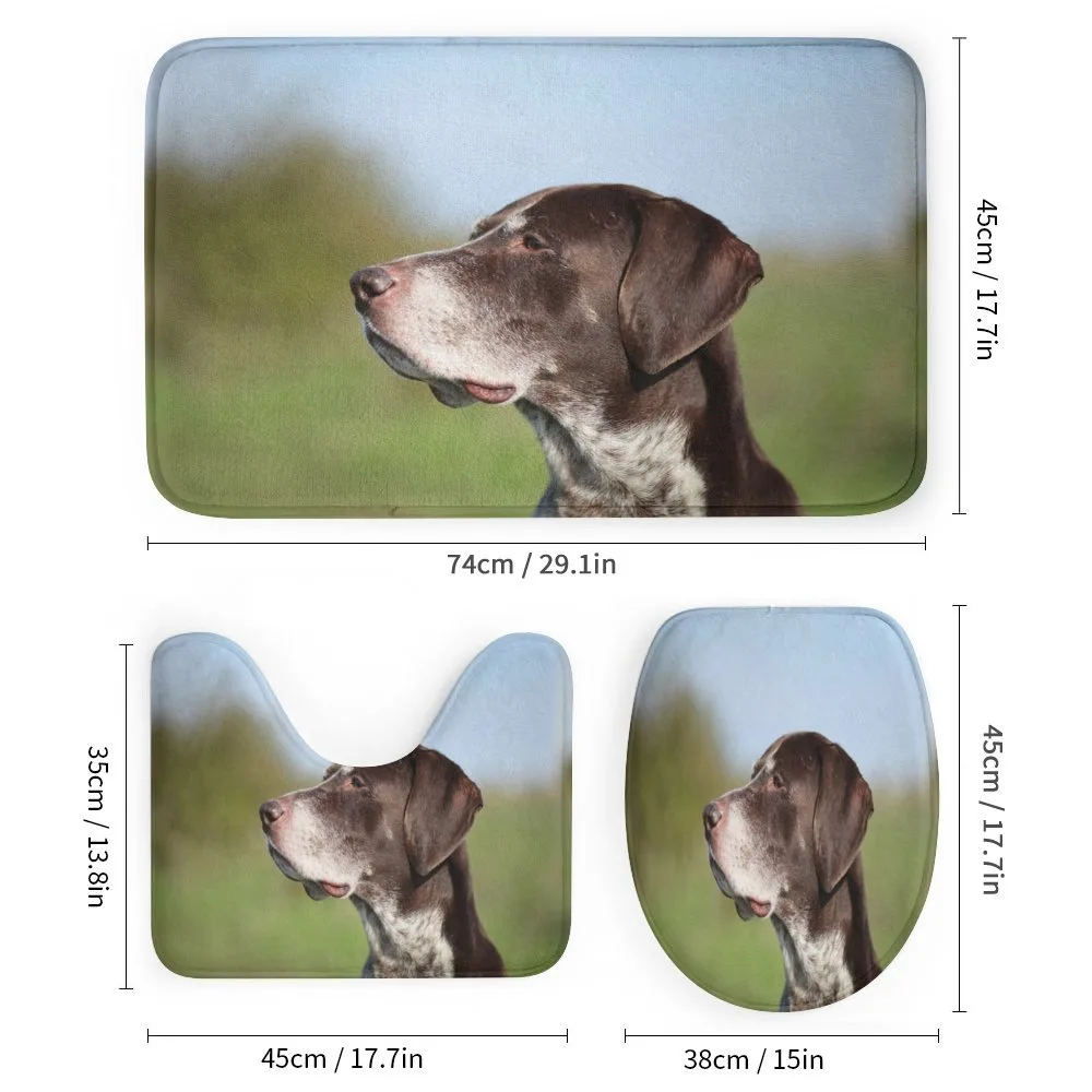 German Pointer — Detail 1
