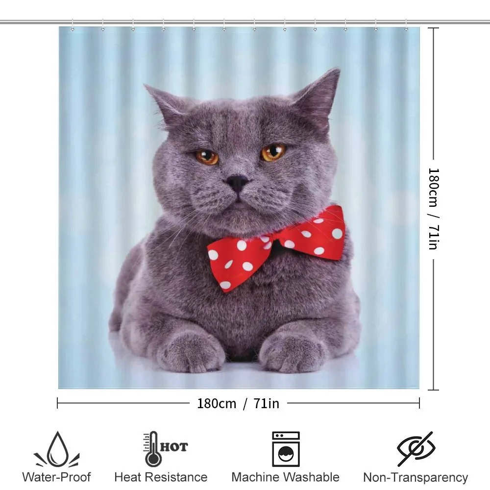Grey Scottish Fold Theme — Detail 2