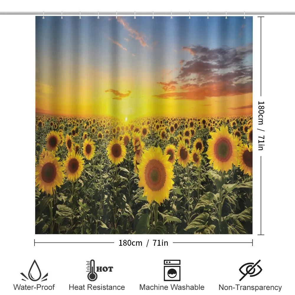Sunflowers Field Dusk — Detail 2