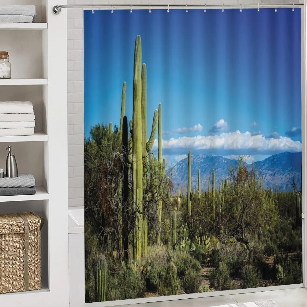 Tucson Countryside Cacti — Detail 4
