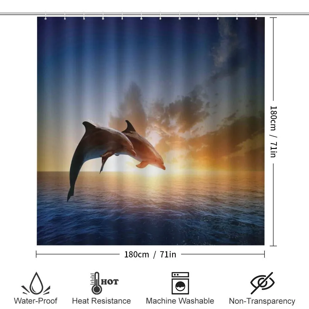 Couple of Dolphins Jump on Sea — Detail 2