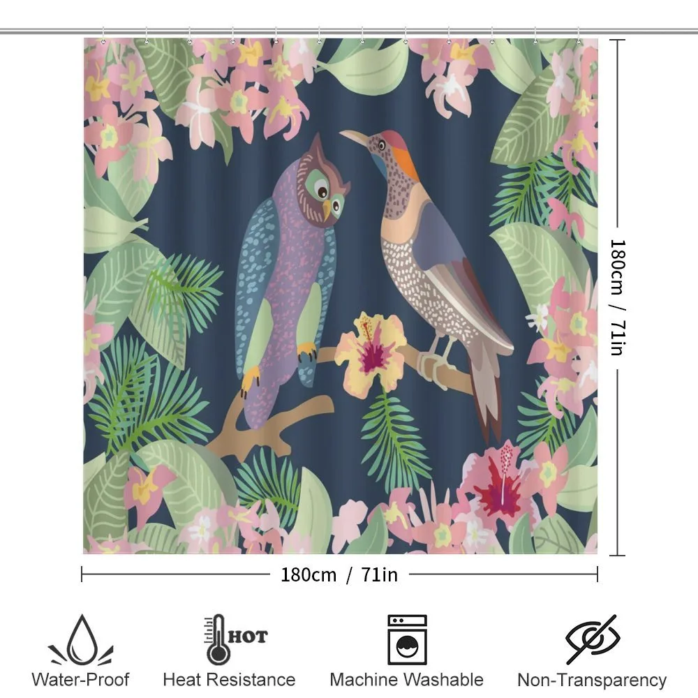 Exotic Birds Owl Avian — Detail 2