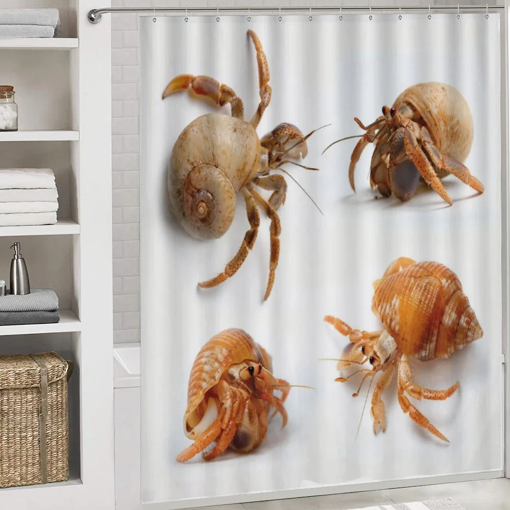 Hermit Crabs Pattern — Detail 4