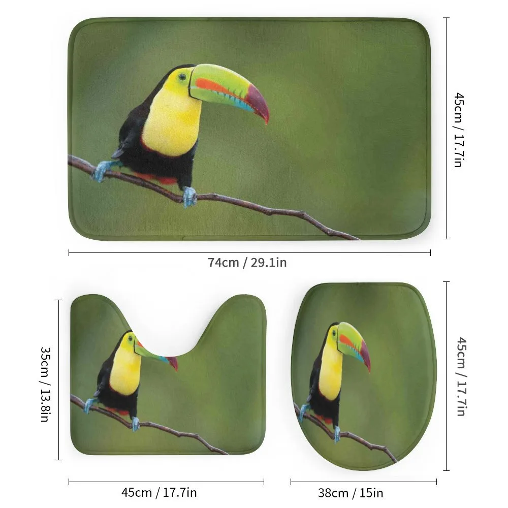 Keel Billed Toucan — Detail 1