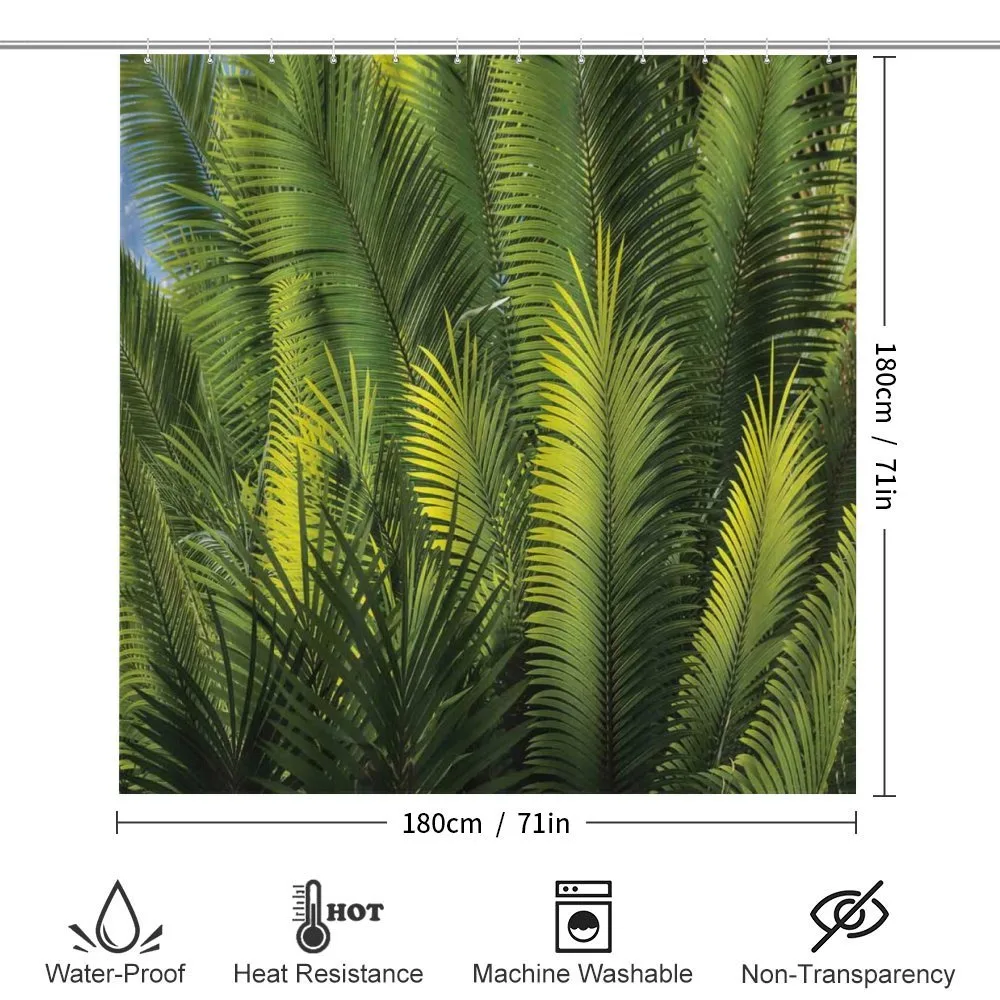 Palm Trees Exotic — Detail 2