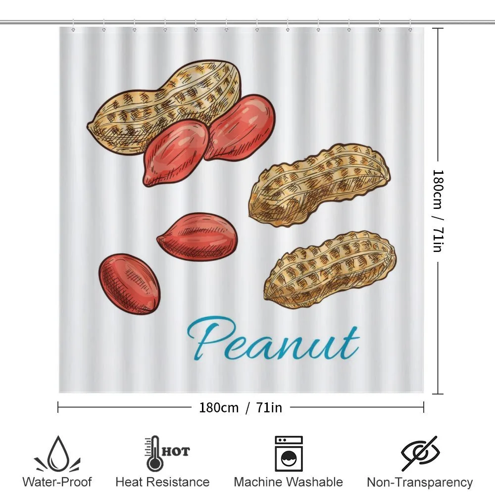Peanut Sketch of Nut — Detail 2