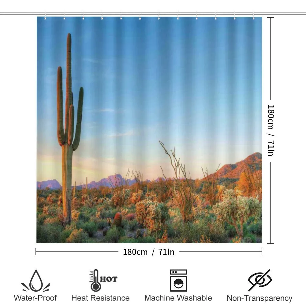 Cactus Sunset Landscape — Detail 2
