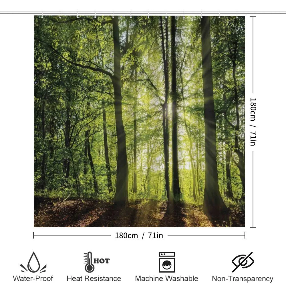 Sunny Forest Springtime — Detail 2