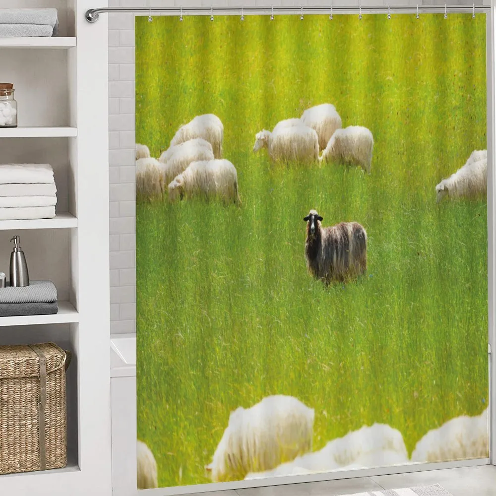 Black Sheep White Goats — Detail 4