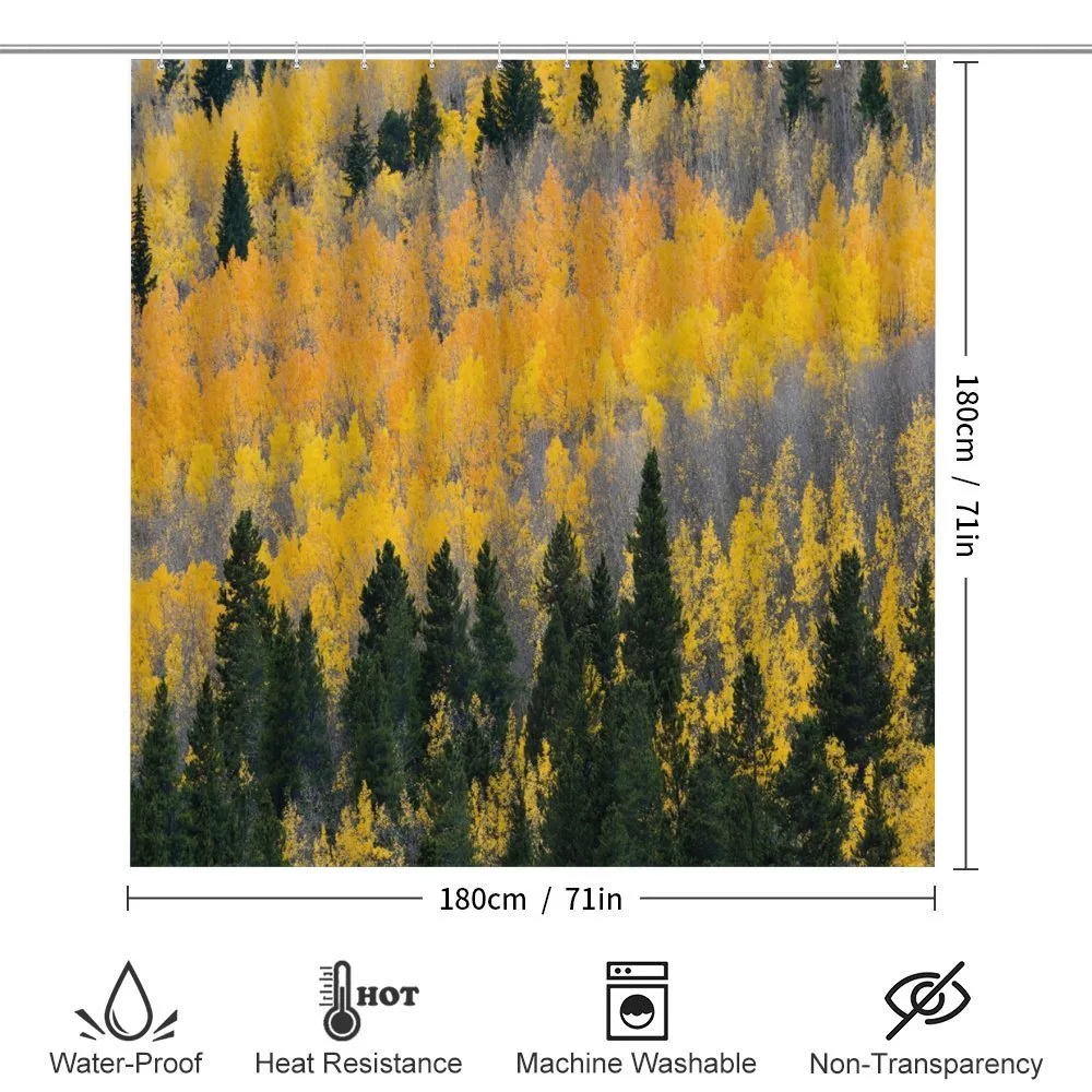 Colorful Aspen Trees USA — Detail 2