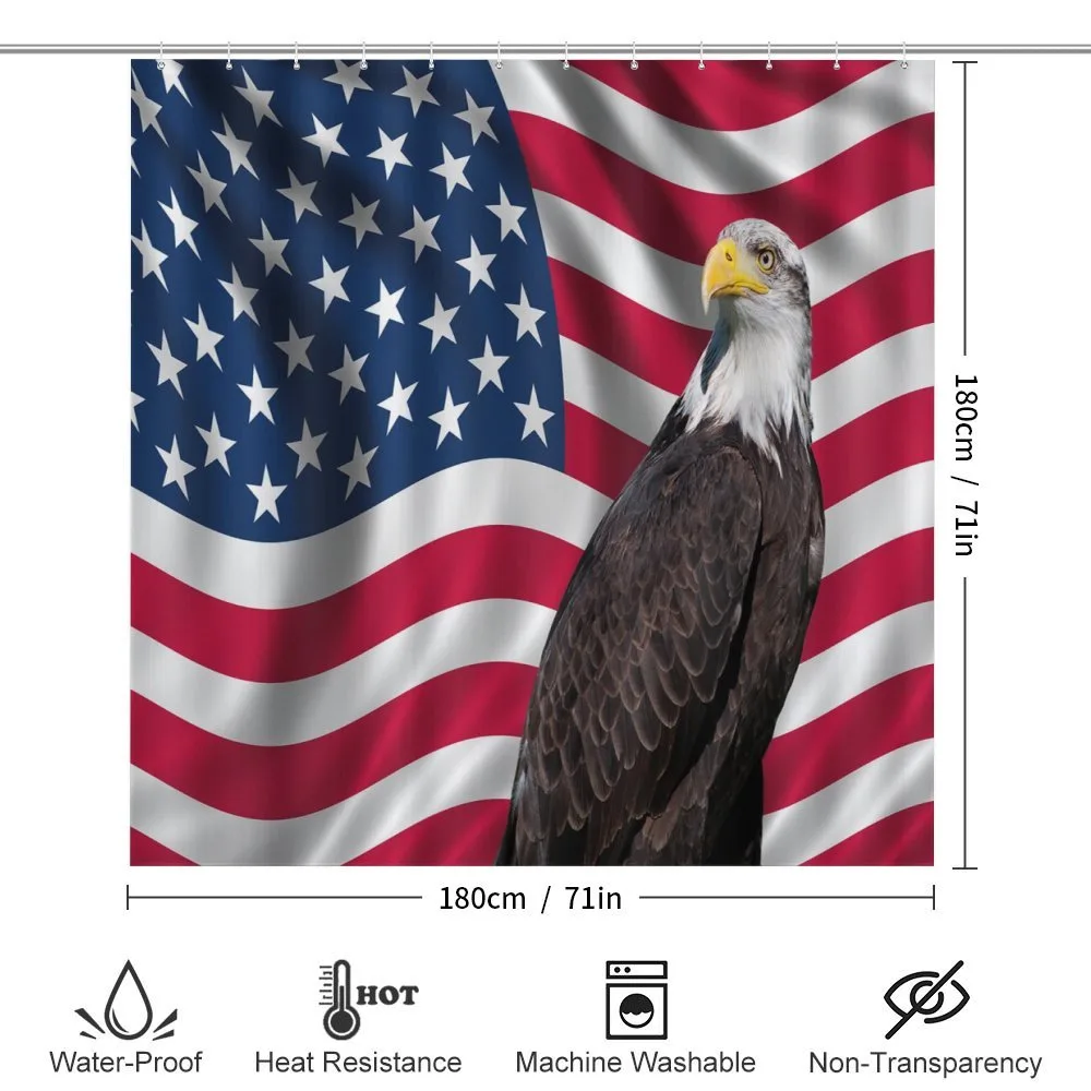Patriotic America — Detail 2