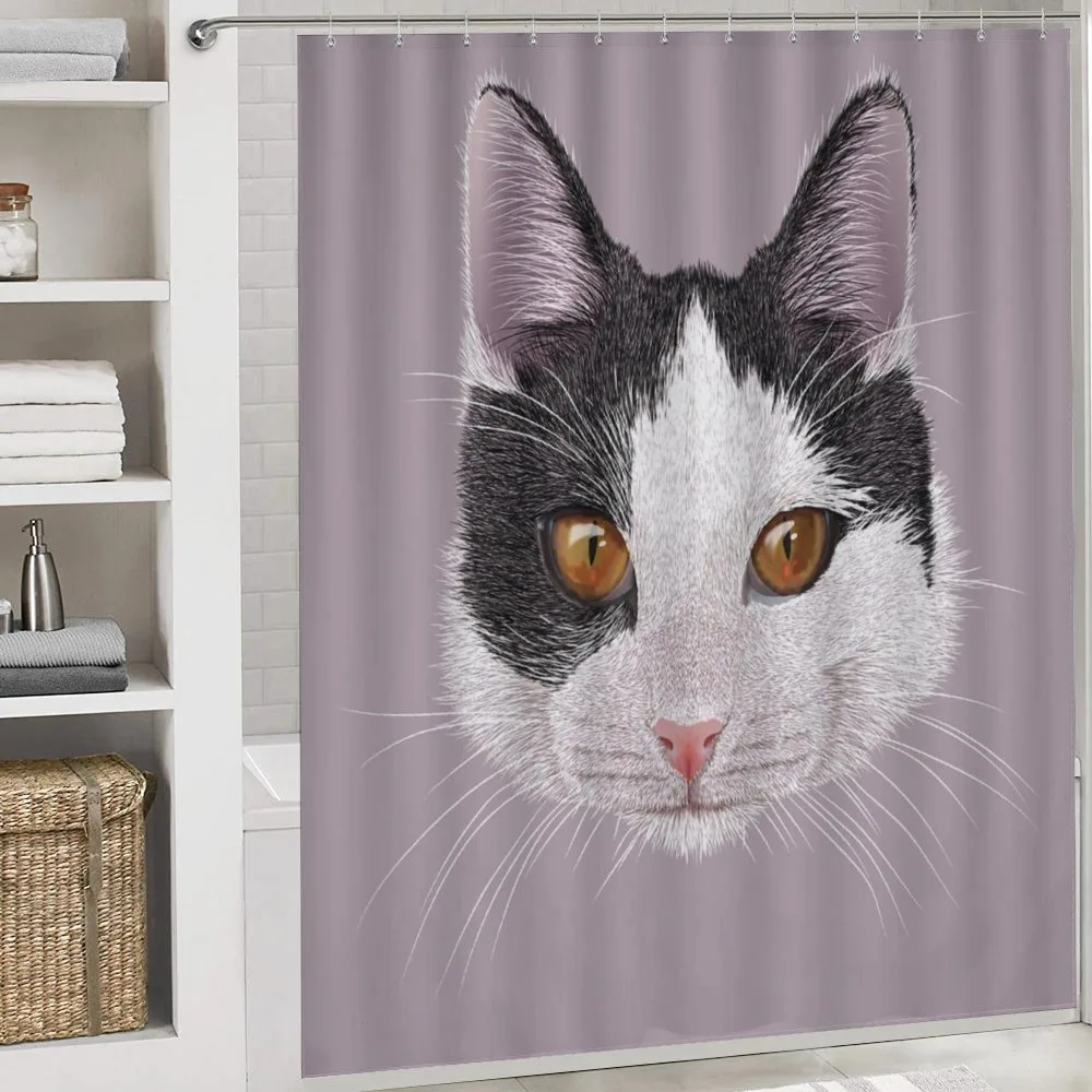 Pet Cat Kitty Portrait — Detail 4