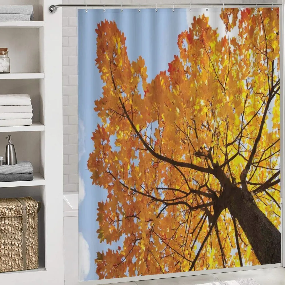 Maple Leaves Fall Autumn — Detail 4