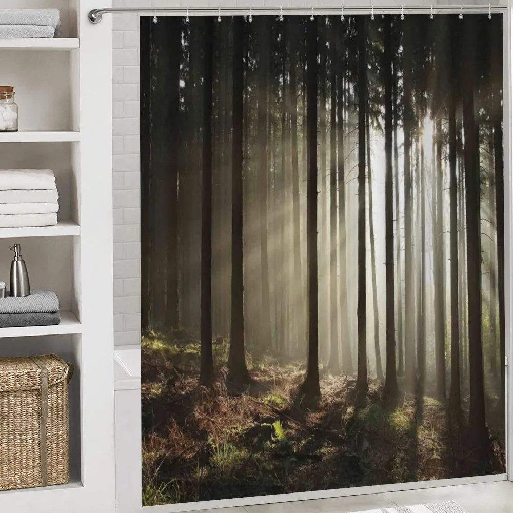 Morning Forest Scenery — Detail 4