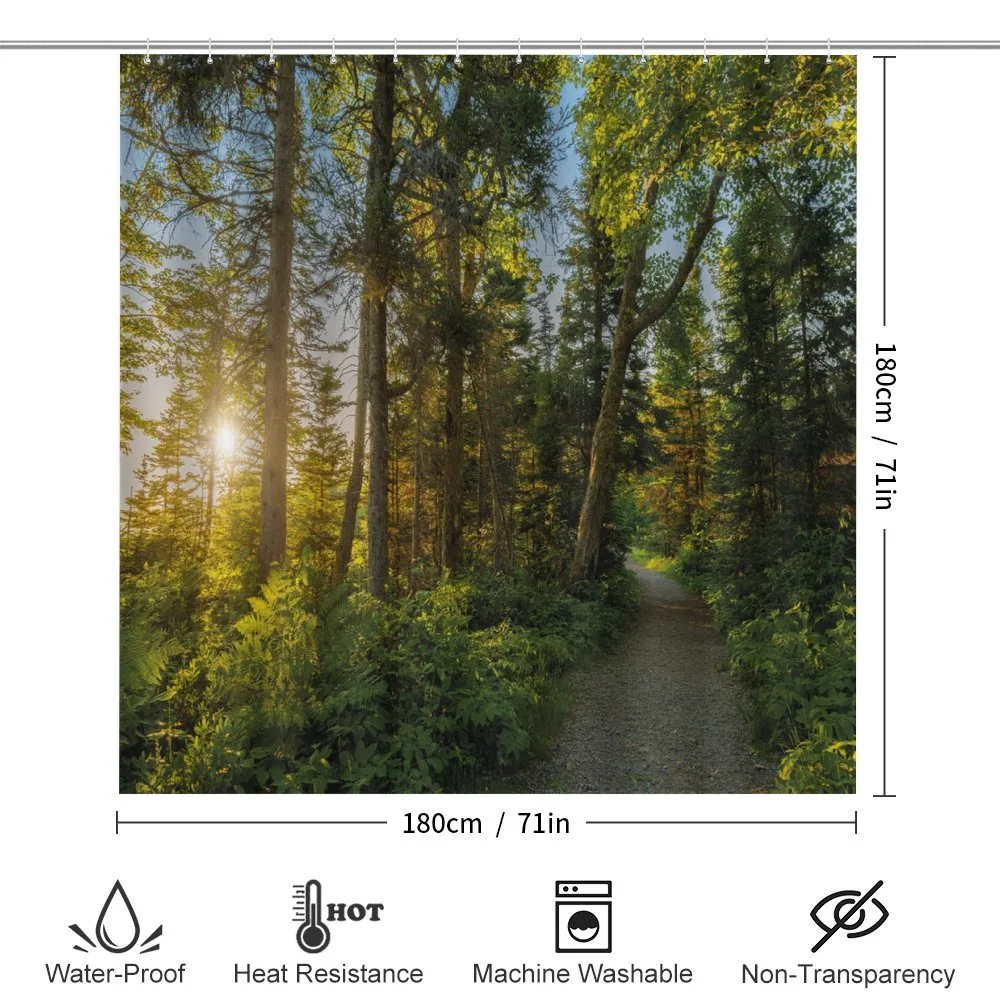 National Park Trees Path — Detail 2