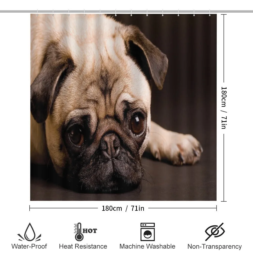 Puppy Photograph Animals — Detail 2