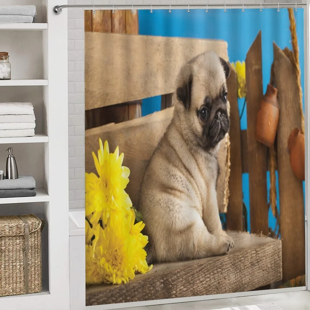 Puppy Photography on Bench — Detail 4