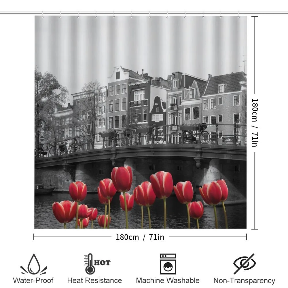 Amsterdam Canal — Detail 2