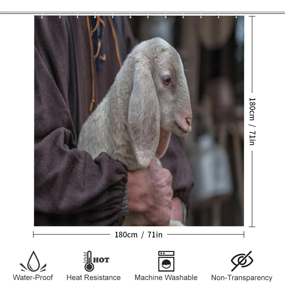 Baby Lamb Old Man — Detail 2