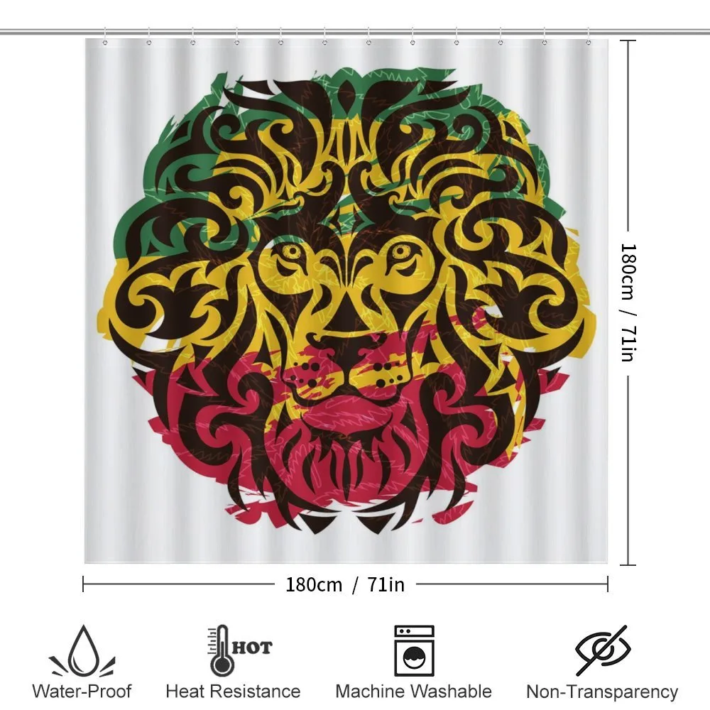 Ethiopian Wild Lion Head — Detail 2