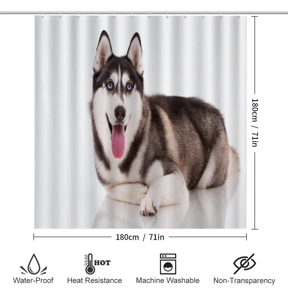 Funny Siberian — Detail 2