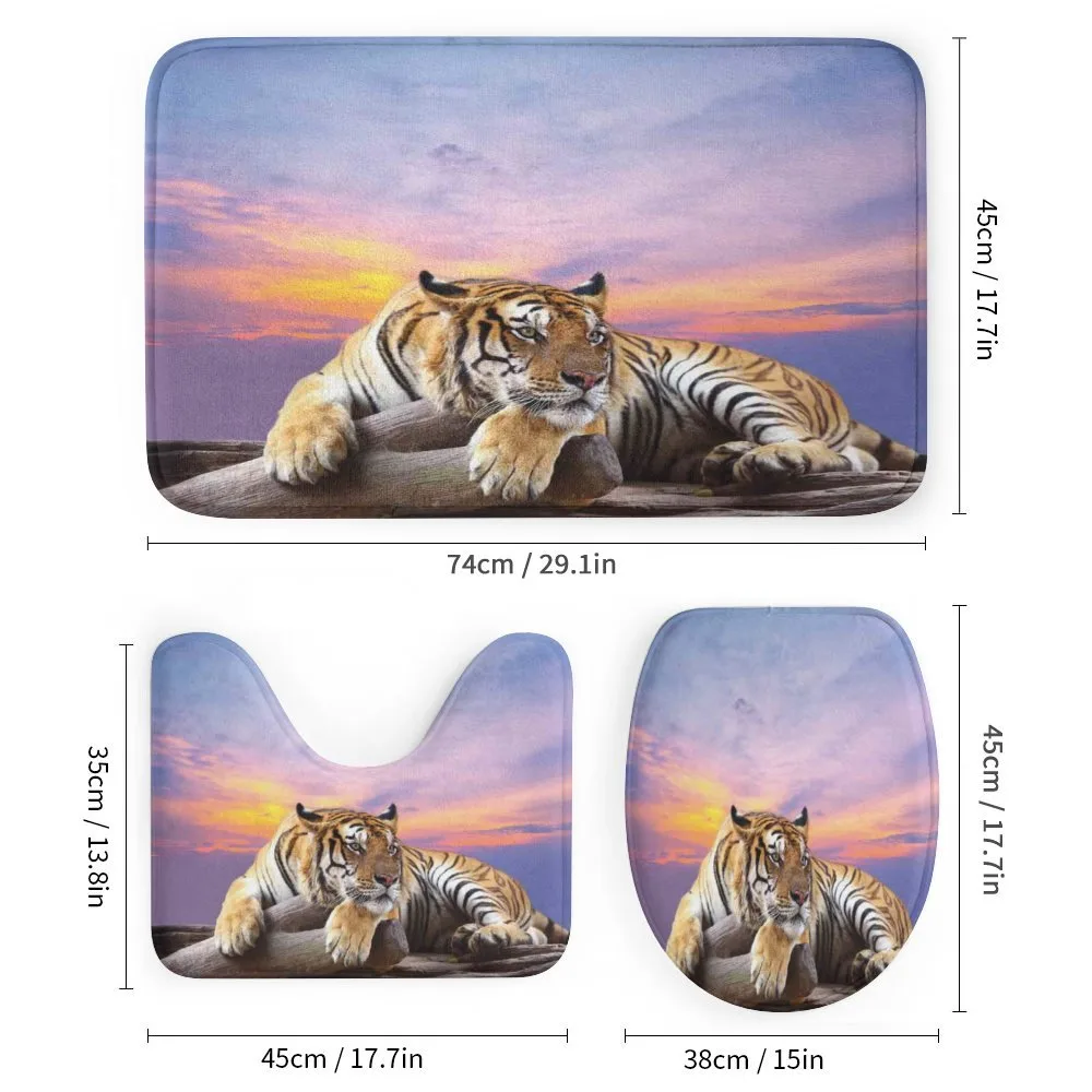 Tiger Colorful Sunset — Detail 1