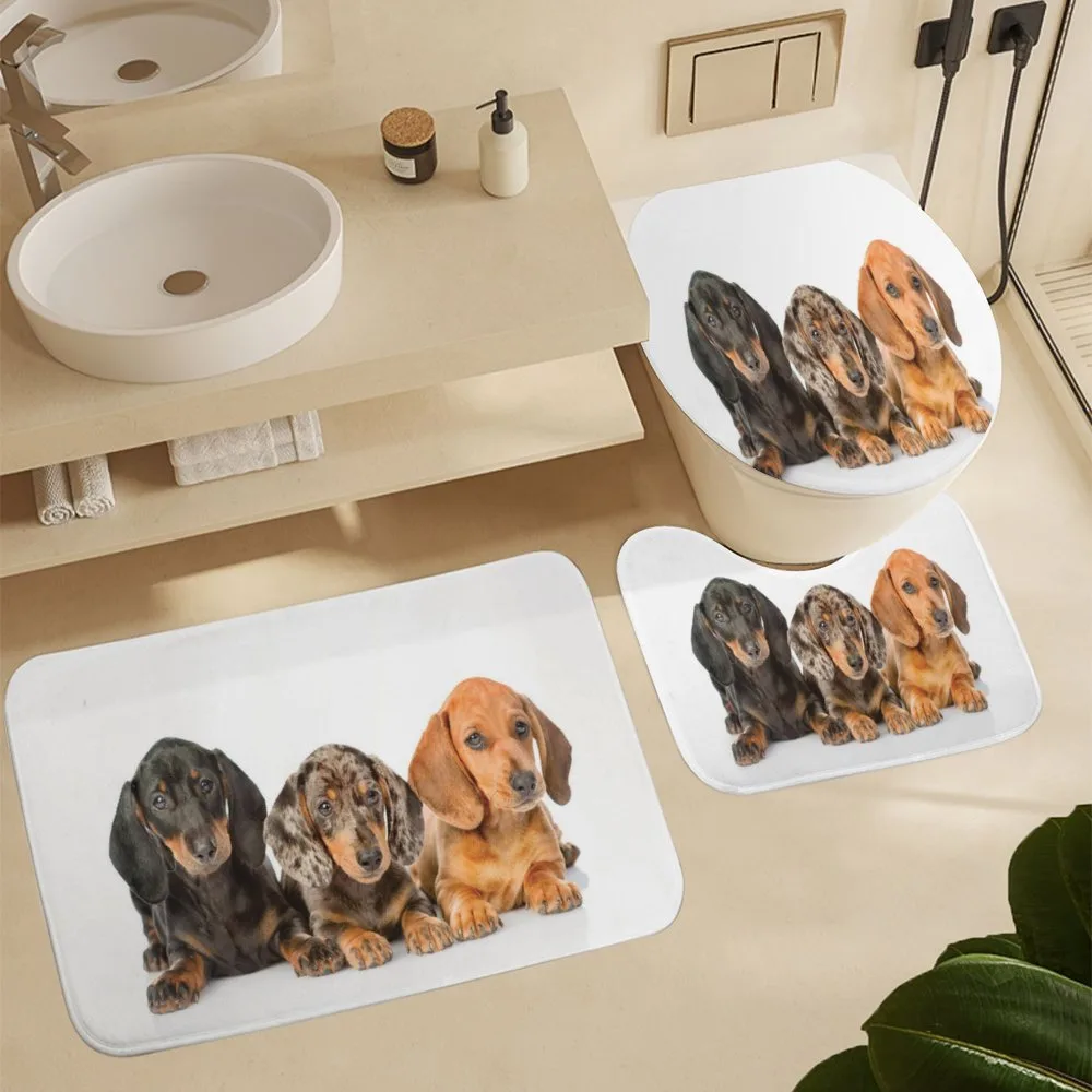 Different Color Dogs Lays — Detail 5