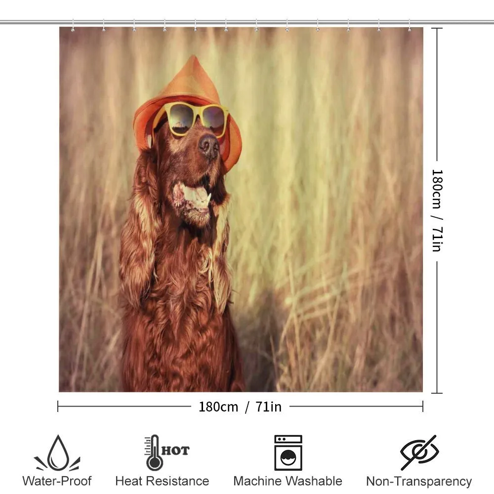Dog Wearing Hat Glasses — Detail 2
