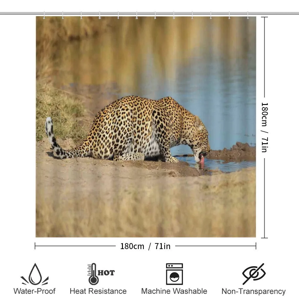 Leopard in Safari — Detail 2